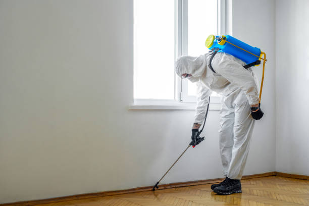 Pest Control Cost in Cameron, TX